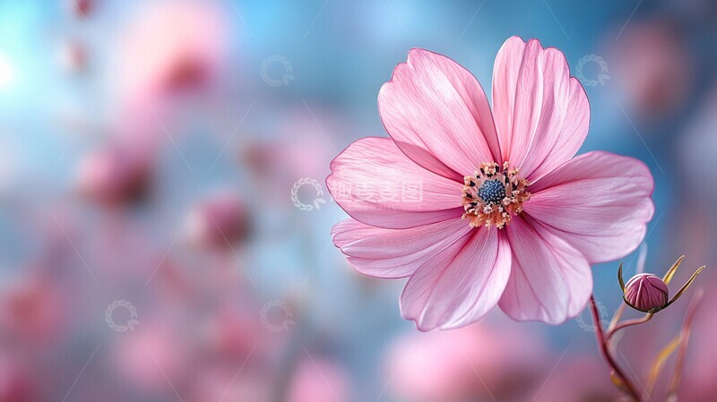 高清大图下载【趣麦麦图】小花浅色背景2