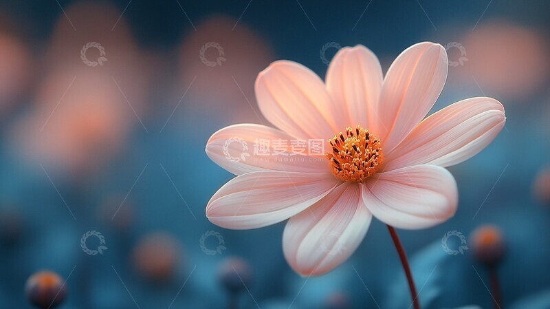 高清大图下载【趣麦麦图】小花浅色背景1