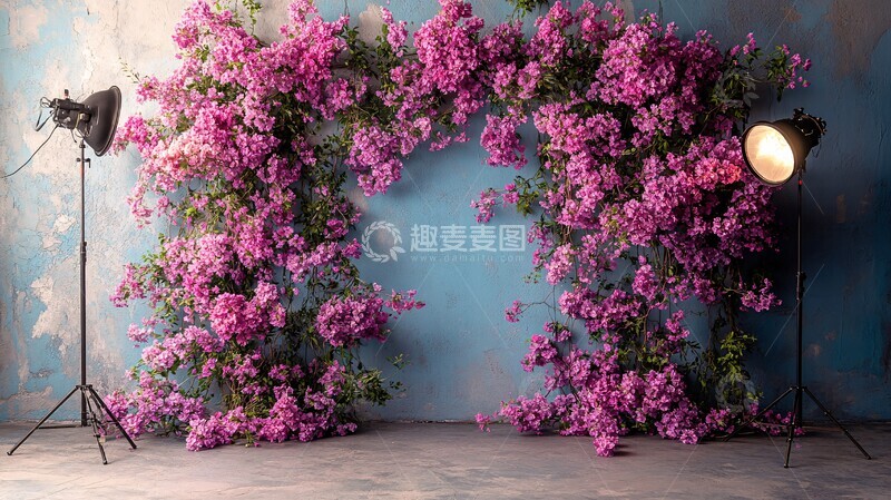 高清大图下载【趣麦麦图】紫色花墙摄影棚1