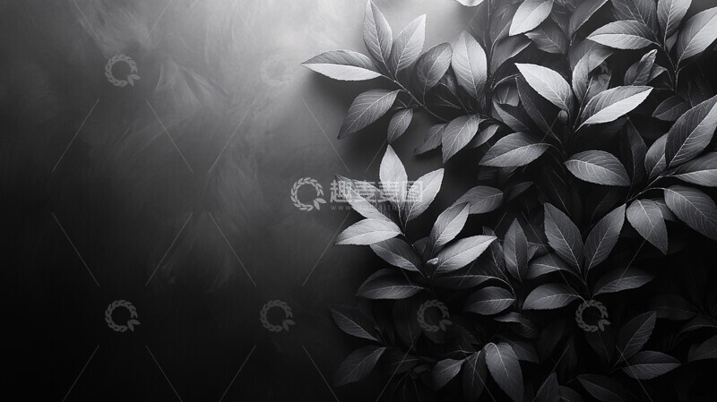 高清大图下载【趣麦麦图】产品展示背景2