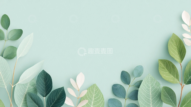 高清大图下载【趣麦麦图】-清新绿叶背景插画209
