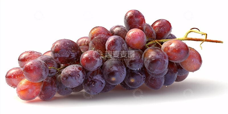 高清大图下载【趣麦麦图】一串紫葡萄插画278