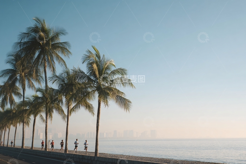 高清大图下载【趣麦麦图】海边椰树下的漫步人群990