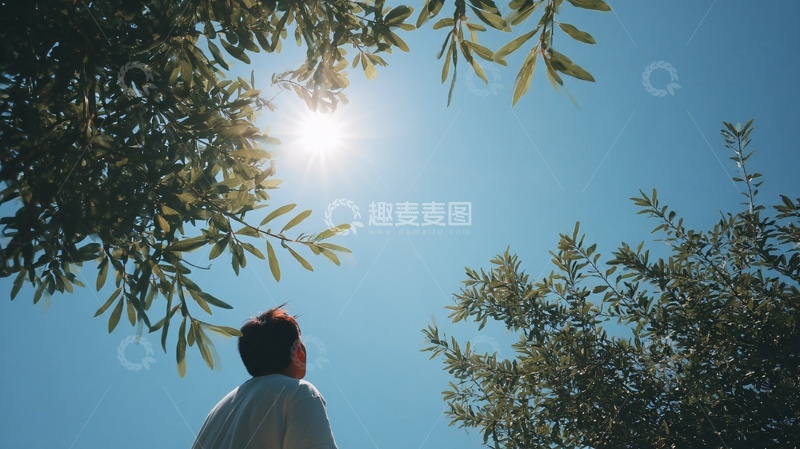 高清大图下载【趣麦麦图】阳光下树林中背影男子326