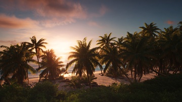 海滩椰林夕阳美景156