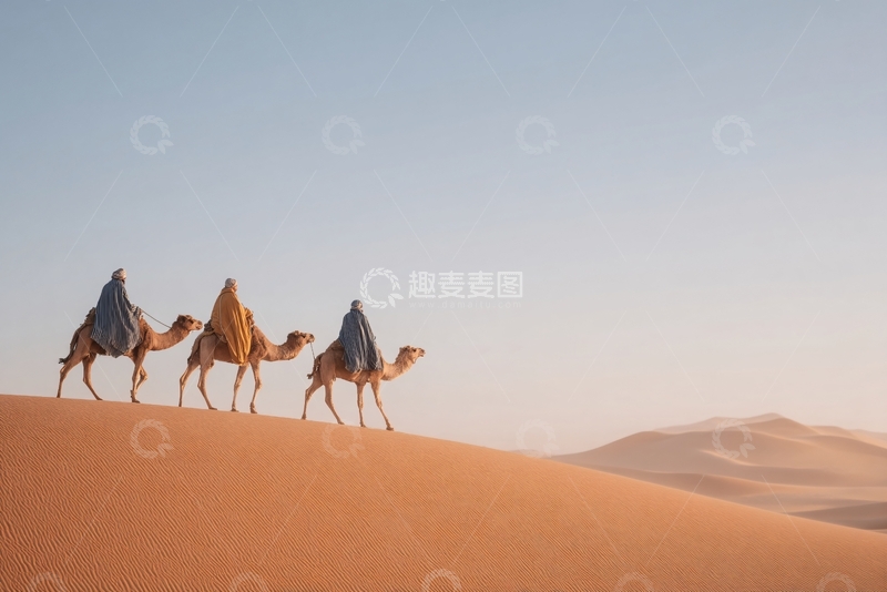 高清大图下载【趣麦麦图】-沙漠中的骆驼队785