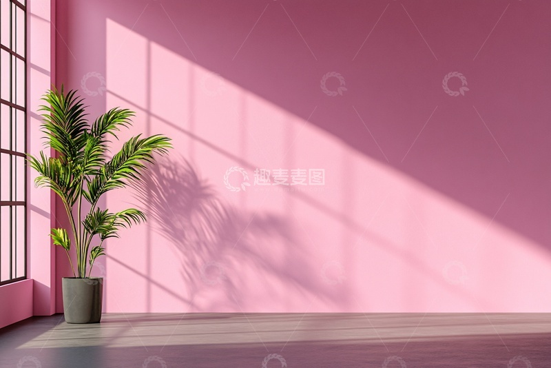 高清大图下载【趣麦麦图】-粉色房间内的绿植光影058