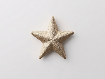 金色海星装饰015