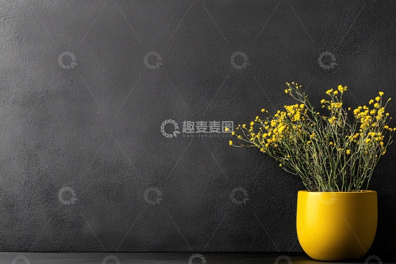 高清大图下载【趣麦麦图】-黑墙前黄盆中的黄色小花824