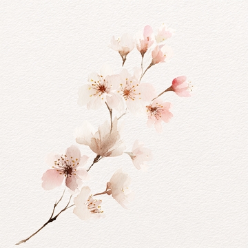 淡雅粉色花枝插画839