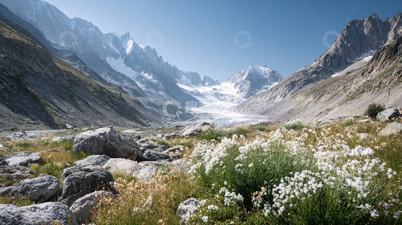 高清大图下载【趣麦麦图】-山间美景中的花草与冰川526