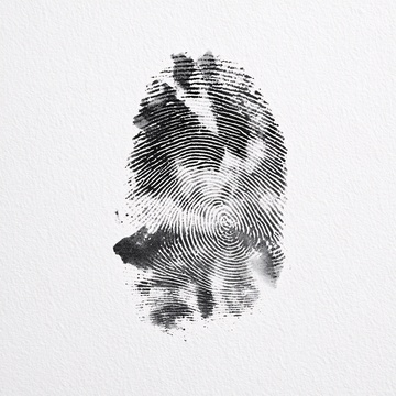 黑白指纹图案306
