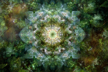 梦幻森林对称图案插画904