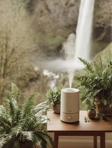室内桌旁绿植与瀑布景观440