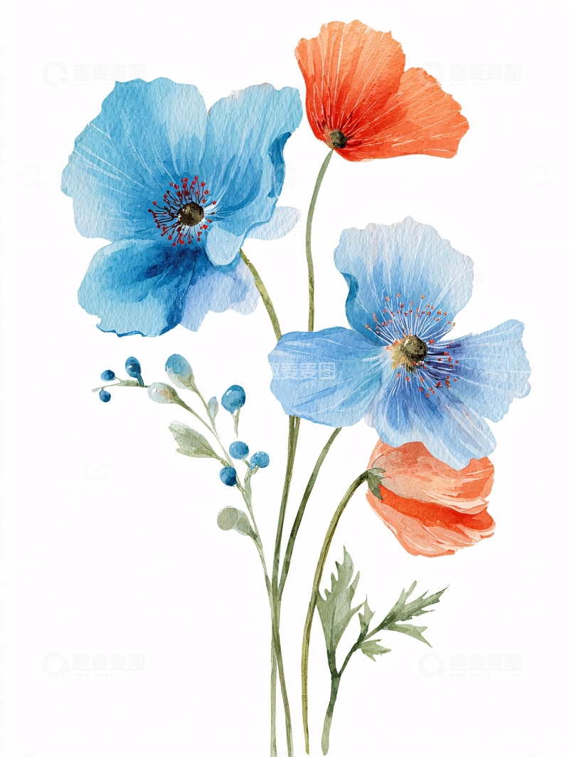 高清大图下载【趣麦麦图】水彩绘蓝橙花朵插画248