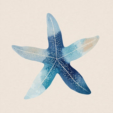 蓝色水彩海星插画021