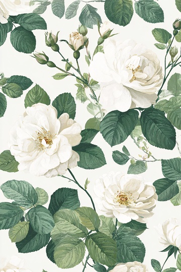 白玫瑰绿叶插画图案537