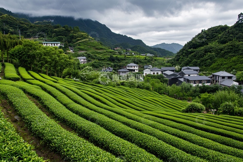 高清大图下载【趣麦麦图】山间梯田茶园村落美景545