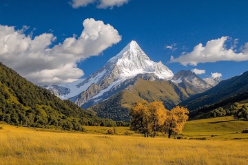 壮丽雪山下的秋日美景470