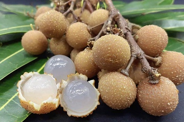 新鲜龙眼果实特写830