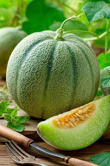 新鲜甜瓜与餐具的静物图542