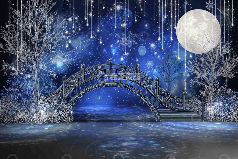 高清大图下载【趣麦麦图】-梦幻冬日月夜桥景147