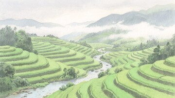山间梯田与溪流的美丽景致739