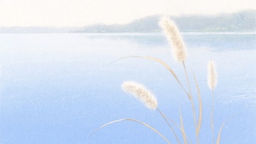 蓝色湖面旁的芦苇插画834