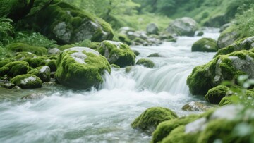山间流淌的潺潺溪流403