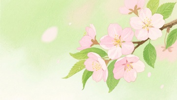 粉色樱花枝插画965