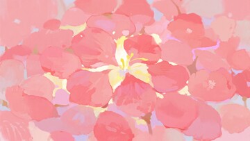 粉色花朵插画859