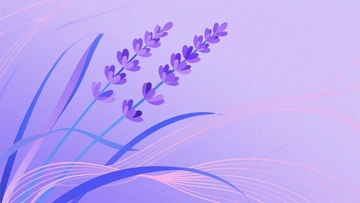 紫色薰衣草插画背景图234