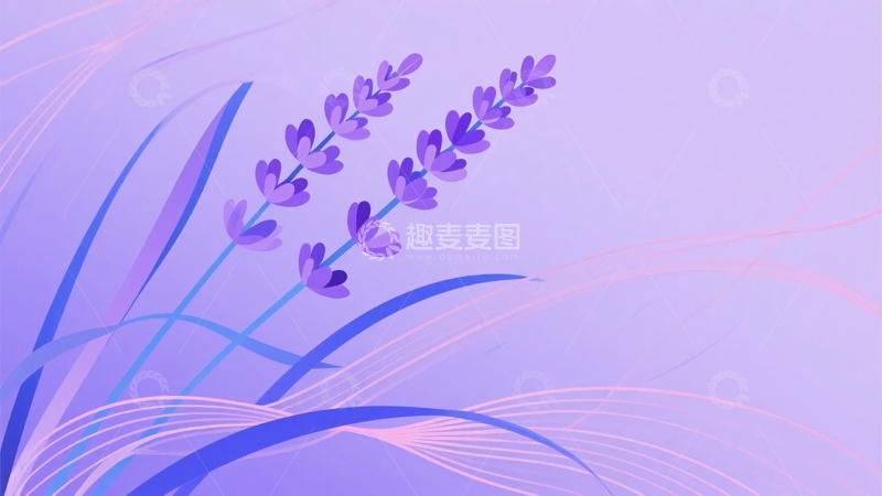 高清大图下载【趣麦麦图】-紫色薰衣草插画背景图234
