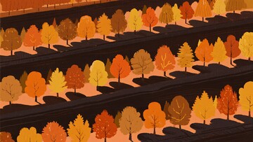 秋日树林插画风景793