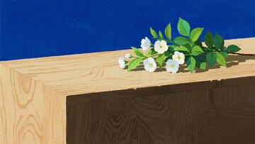 木桌上的白色花卉插画971