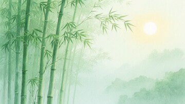 竹林晨景插画119