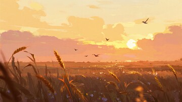 夕阳下的麦田与飞鸟013