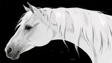 白色骏马头部插画449