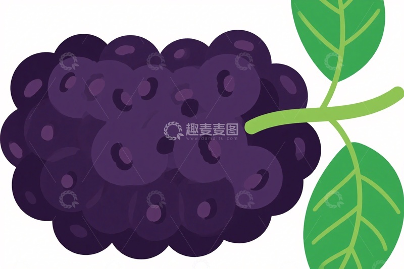 高清大图下载【趣麦麦图】-插画风格的桑葚果实669