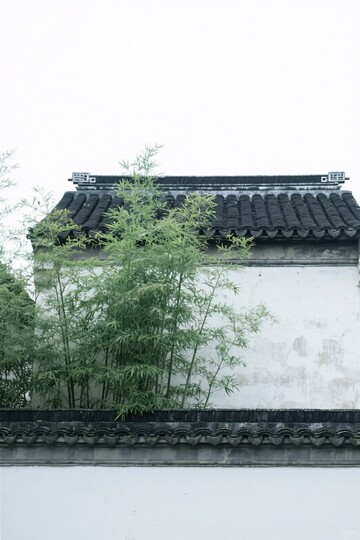 中式白墙黑瓦旁的翠竹景致445