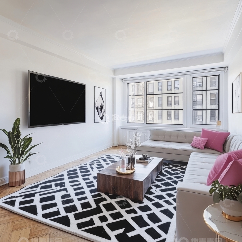 高清大图下载【趣麦麦图】现代客厅布置，黑白几何地毯与粉色靠垫