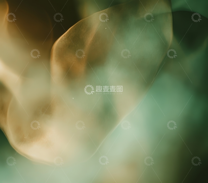 高清大图下载【趣麦麦图】朦胧光影与绿色植物的抽象组合