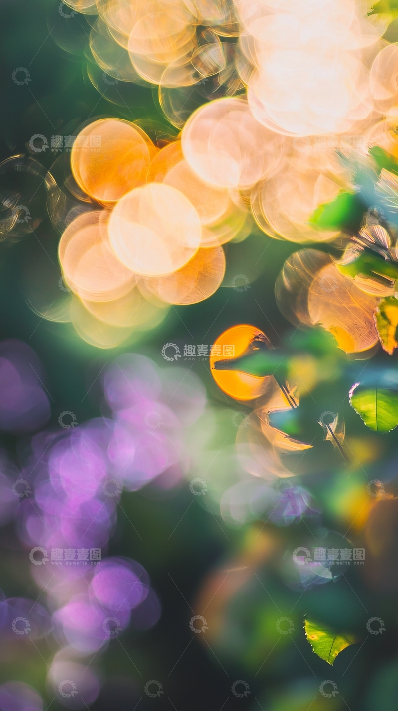 高清大图下载【趣麦麦图】光影交错的自然景致