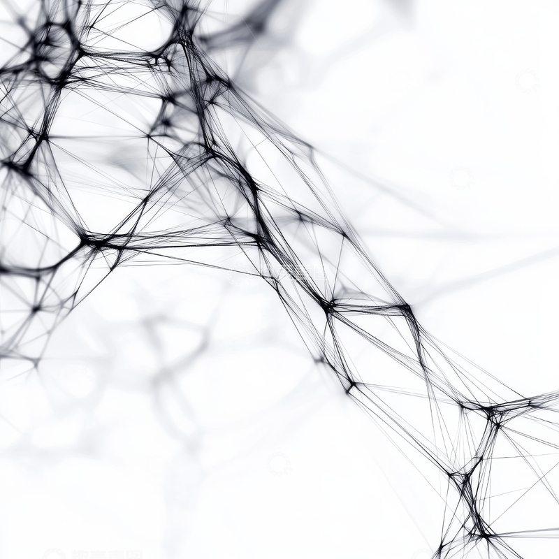 高清大图下载【趣麦麦图】黑白交织的网络结构