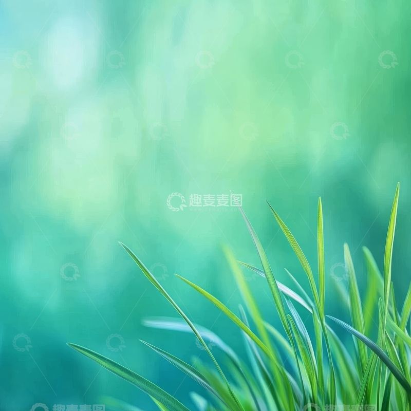 高清大图下载【趣麦麦图】绿意盎然的草地特写