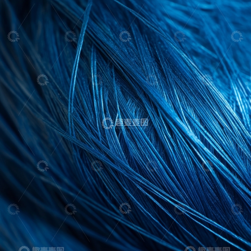 高清大图下载【趣麦麦图】深蓝羽毛的细腻纹理