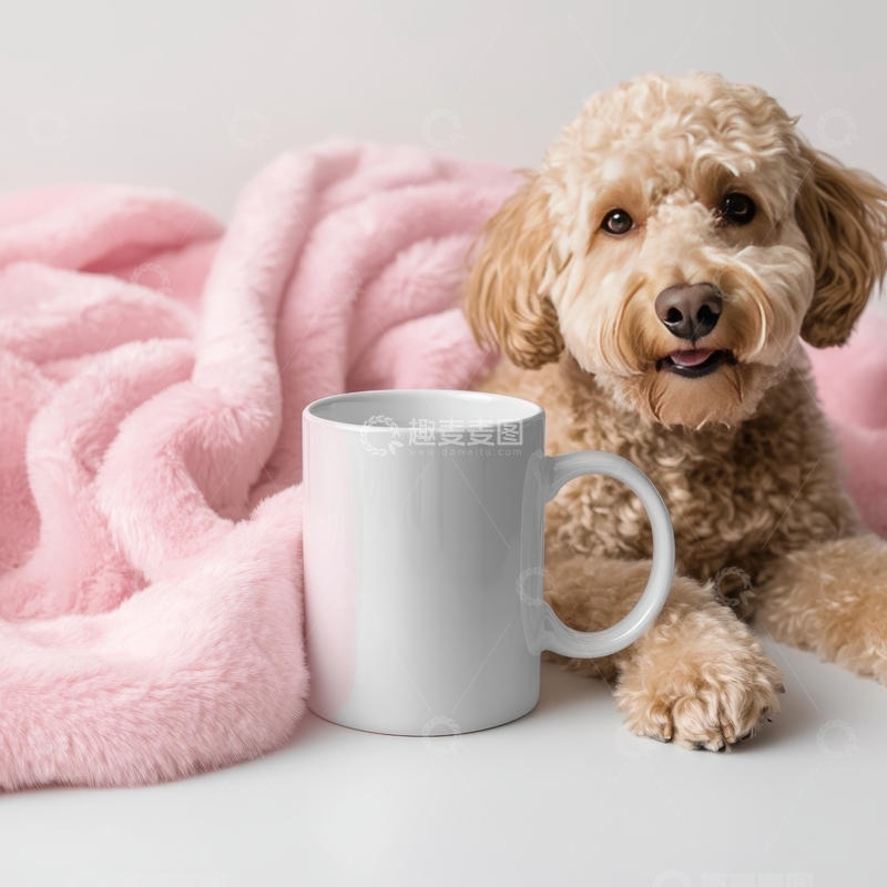 高清大图下载【趣麦麦图】毛绒毯旁的狗狗与白色杯子