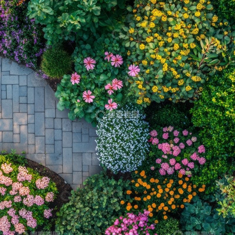 高清大图下载【趣麦麦图】花园俯视图，色彩斑斓的花卉与小径