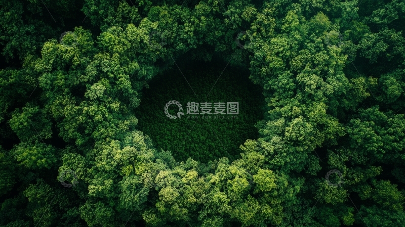 高清大图下载【趣麦麦图】俯瞰森林中的自然空地