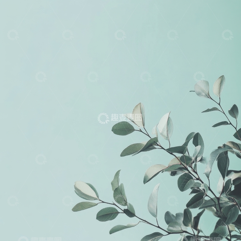 高清大图下载【趣麦麦图】淡雅绿叶枝条